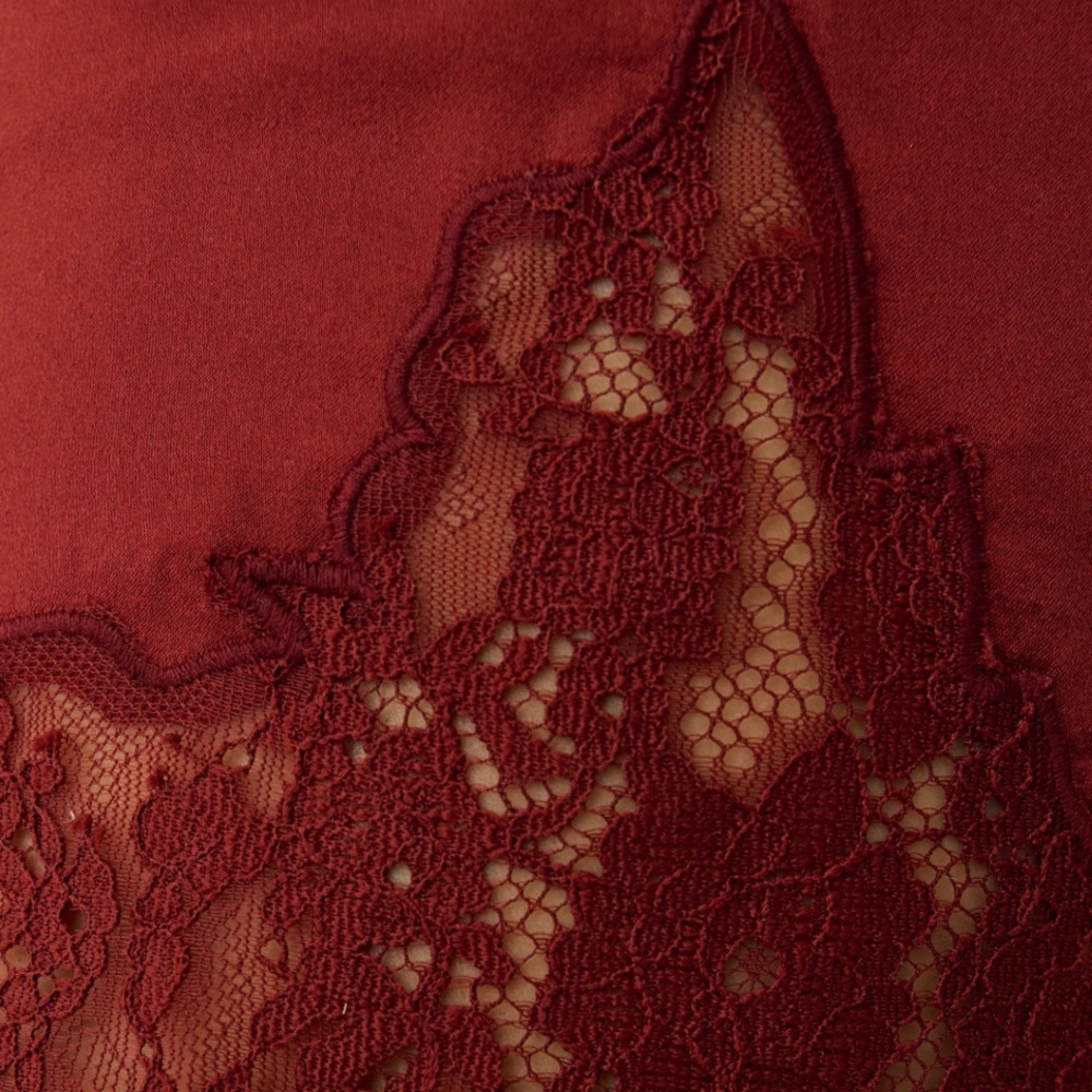 Sorella Rose Silk Lace Trim High Waist Burgundy Shorts - Picture 2 of 8